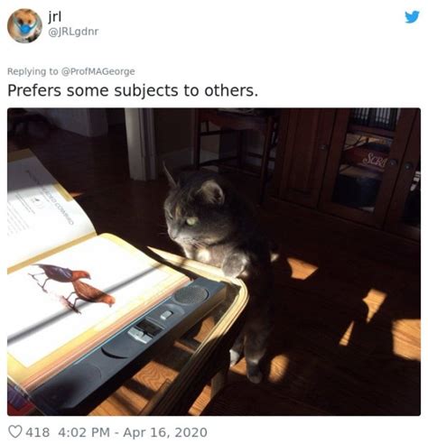 Teacher Asks Students To Share Photos Of Their Studious Pets And They Deliver