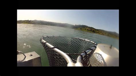East lake has a variety of fishing opportunities for kokanee, rainbow trout, and large browns. Trout Fishing Hagg Lake, Oregon - (Net View) - YouTube