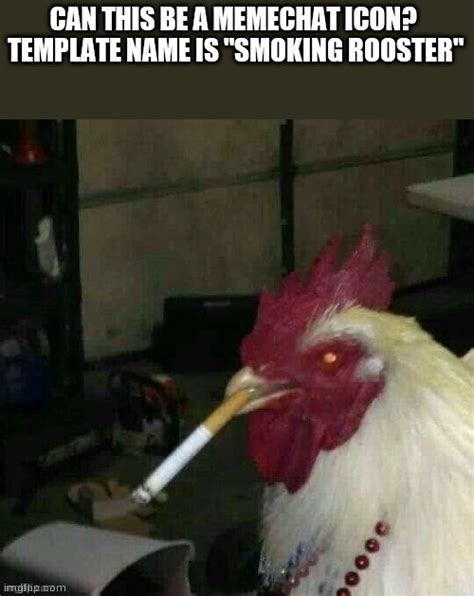 Smoking Rooster Imgflip