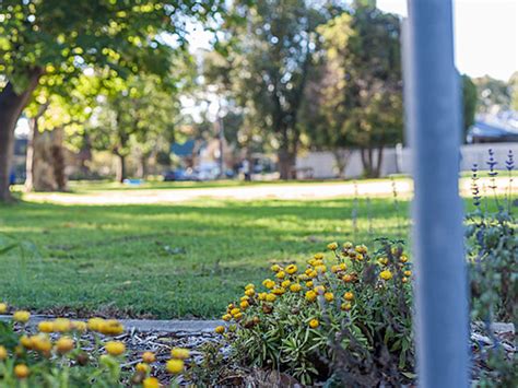 Bank jobs in india are one of the most trending jobs in india. Zoned Areas | East Marden Primary School