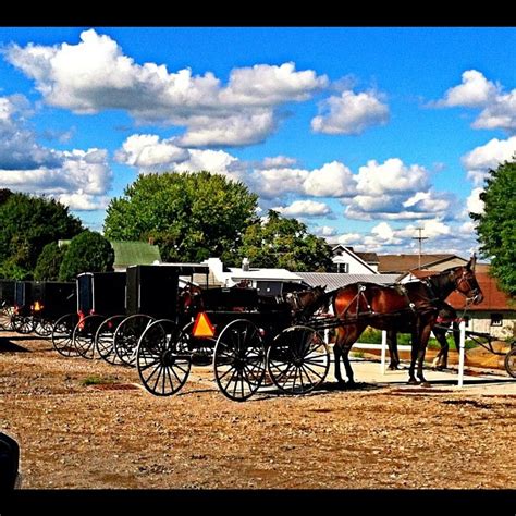 363 Best Images About Amish Country Pictures On Pinterest