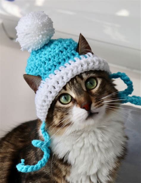 Beanie Hat For Cats Crochet Cat Hat Crochet Cat Crochet
