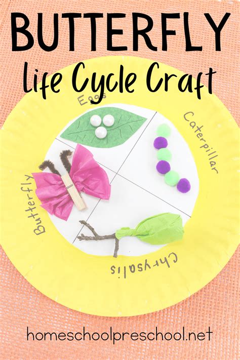 Paper Plate Life Cycle Of A Butterfly Craft For Preschoolers