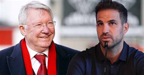 cesc fabregas recalls furious tunnel bust up that saw him throw pizza at sir alex ferguson