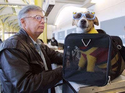 There are two cabins per plane in first class only. 2. Let the Airline Know Your Pet's Coming Along for the ...