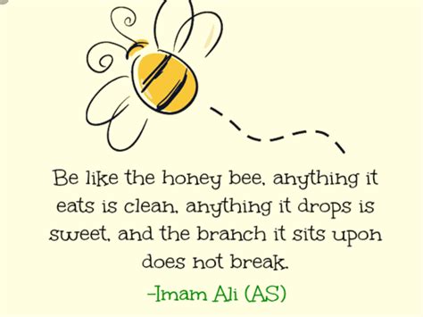 December 3 Bee Quotes Honey Quotes Bee