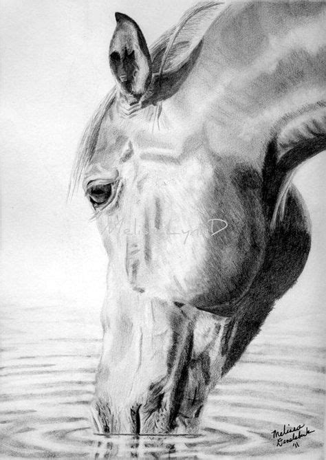 40 Realistic Animal Pencil Drawings Easy Pencil Drawings Horse Pencil