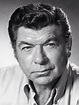 Claude Akins | Movie stars, Hollywood actor, Character actor