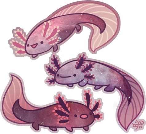 193 Best Axolotl Ajolote Images On Pinterest Axolotl Care Amphibians