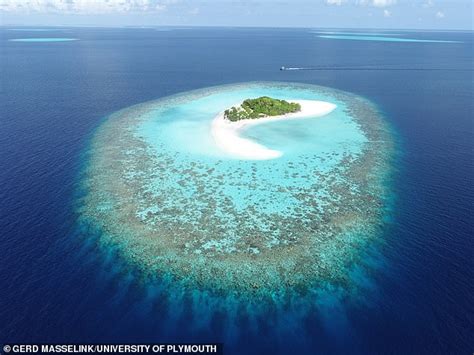 Coral Islands Like The Maldives Could Survive Sea Level Rise Daily