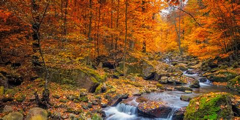 5 Of The Best Places To See Fall Foliage In And Around The