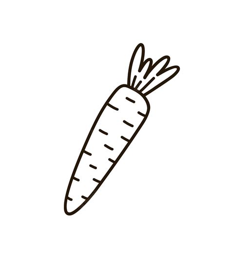 Premium Vector Cute Carrot Isolated On White Background Hand Drawn