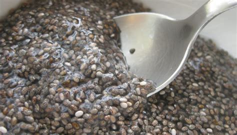 Chia seeds come from the flowering plant of chia, which is native to mexico and guatemala. 5 Amazing Benefits of Soaking Chia Seeds | Busy Mum