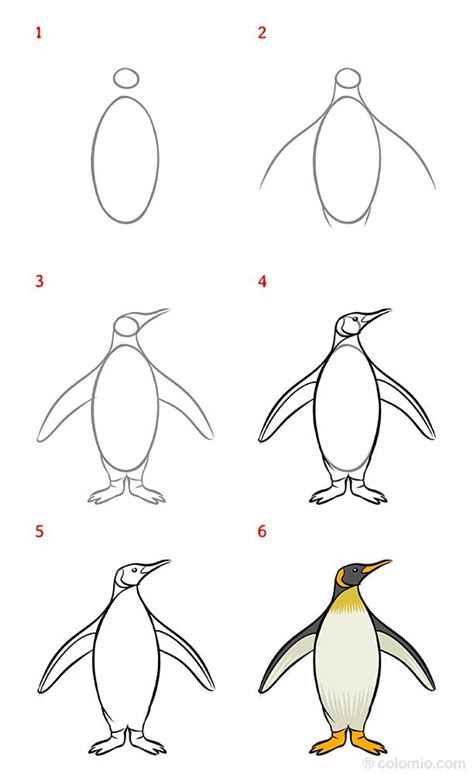 Penguin Drawing How To Draw A Penguin