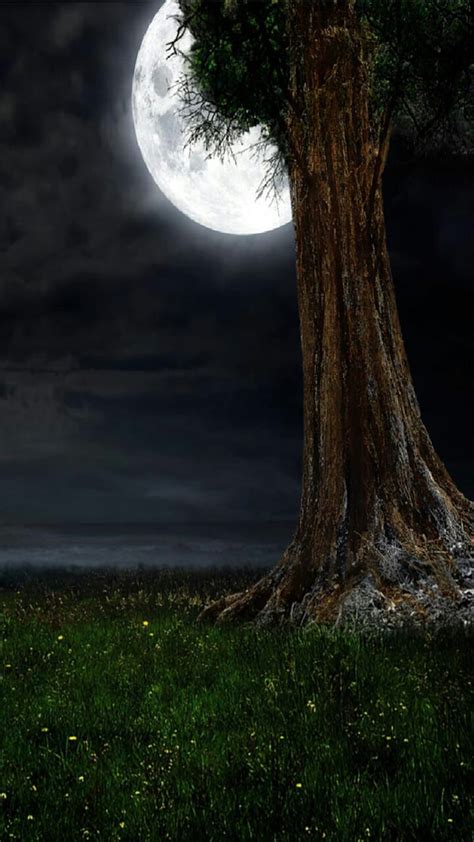 Night Moon Tree Hd Phone Wallpaper Peakpx