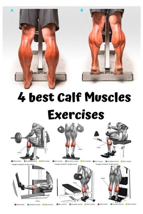 Calf Muscle Workout Best Leg Workout Gym Workout Chart Body Workout