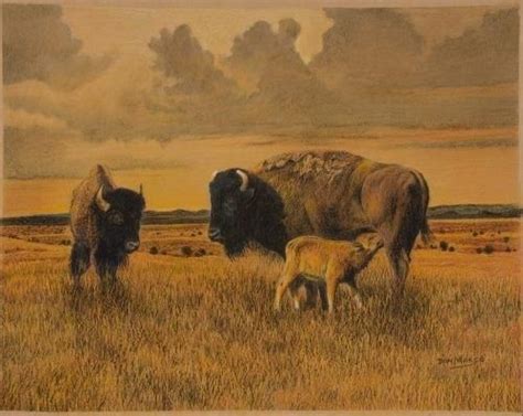 Buffalo By Artist Don Marco Kp Native American Art Artist Crayon Art