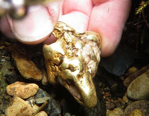 Man Lying Face Down In Scottish River Finds Uks Largest Gold Nugget