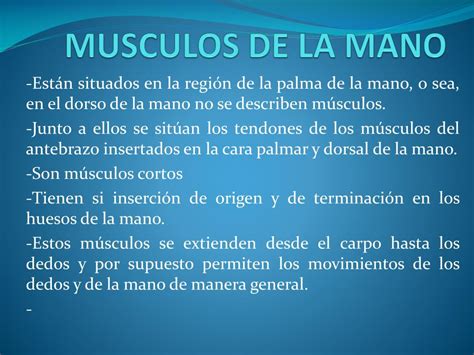 Ppt Musculos Del Miembro Superior Powerpoint Presentation Free