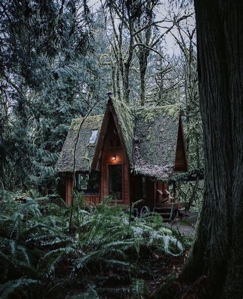 Athene Noctua On Instagram “how Fabulous Is This Tiny Forest Cottage