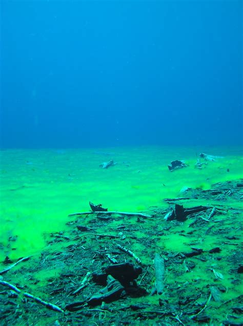 Clear Lake Summer Diving Not Your Average Engineer