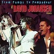 Johansen, David - From Pumps to Pompadours: David Johansen Story ...