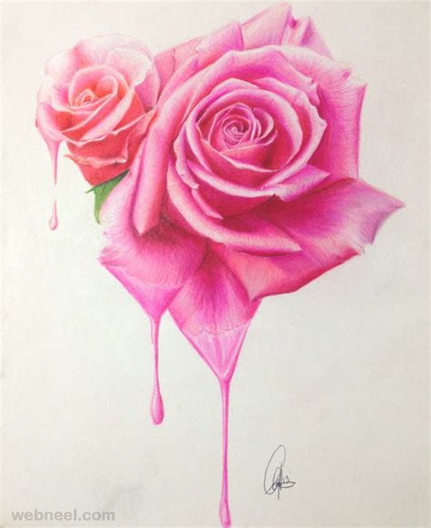 Rose Flower Drawings In Pencil Step By Step Images