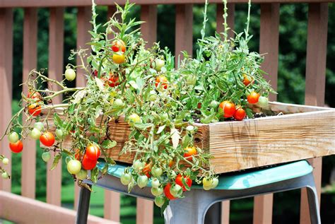 Nice 10 Incredible Vegetable Garden Design Ideas You Should Try