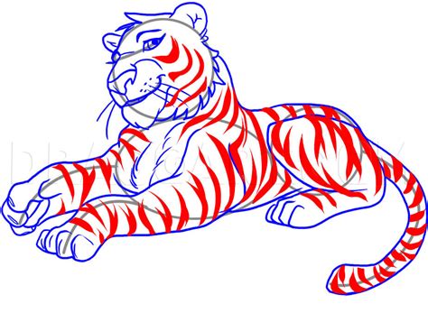 How To Draw A Tiger By Dawn Dragoart Com