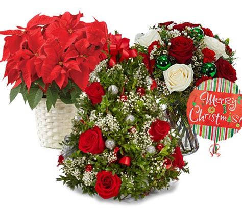 Flower freshness 7 day freshness guarantee. Same Day Christmas Flower Delivery Service Send Flowers On ...