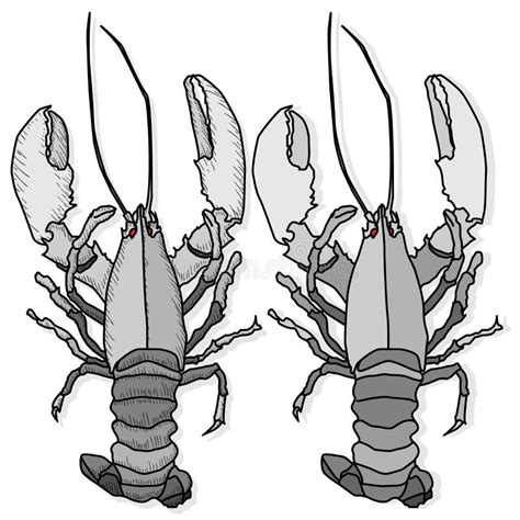 Crayfish Vector Illustration On A White Background Monochrome Crayfish