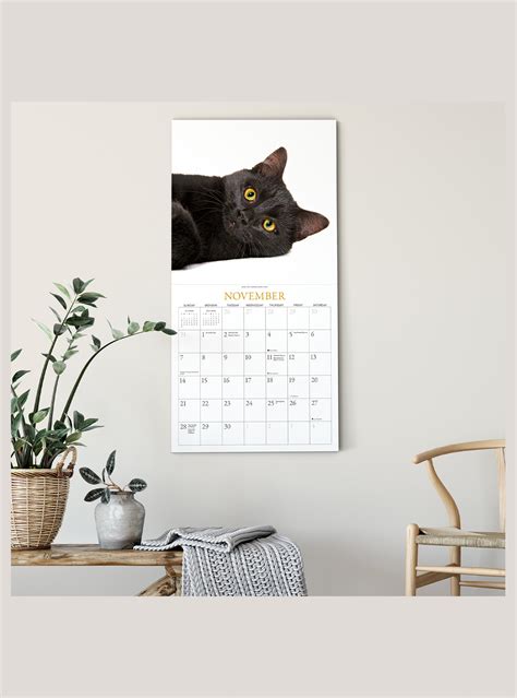 2021 Black Cats On White 12 X 12 Wall Calendar Shop The Gladstone