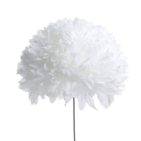 We did not find results for: White Artificial Football Mum - Picks + Sprays - Floral ...