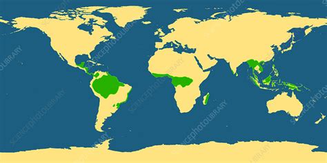 Jungles Of The World Map Map