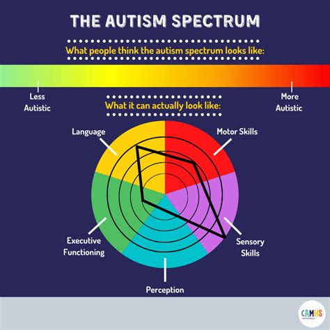 Autism Spectrum Diagram E