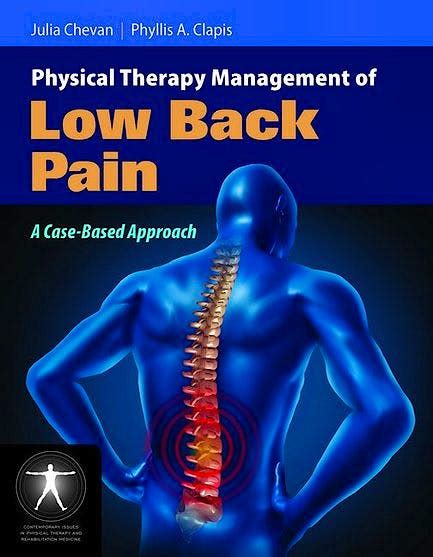 Physical Therapy Management Of Low Back Pain A Case Based Approach