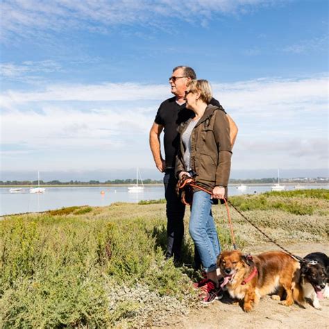 Sortir Se Balader Avec Son Chien Coutances Tourisme Organisez Vos Vacances Dans La Manche