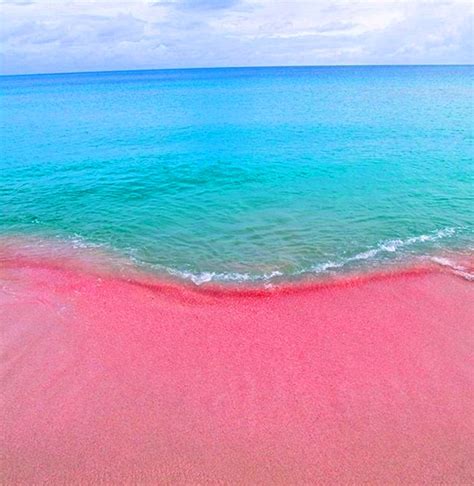 The Caribbeans Most Colourful Beaches — Beachbox Pink Sand Beach
