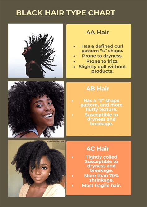 Free Black Hair Type Chart Illustrator Pdf