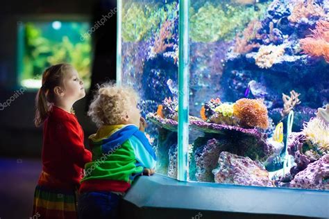 Kids Watching Fish In Tropical Aquarium Stock Photo By ©famveldman