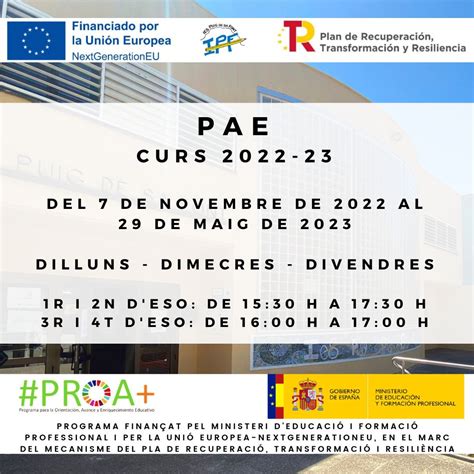 Pae 2022 2023 Ies Puig De Sa Font