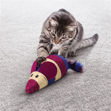Cat Toys Best Uk Selection Of Toys For Your Pampered Puss The Cat