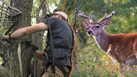 how to become a better deer hunter right now bowhunter syndicate