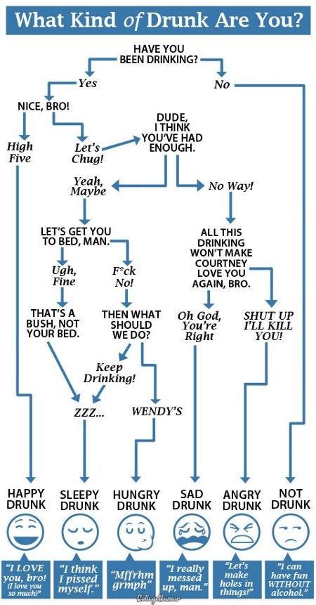 What Kind Of Drunk Are You Flowchart Pics