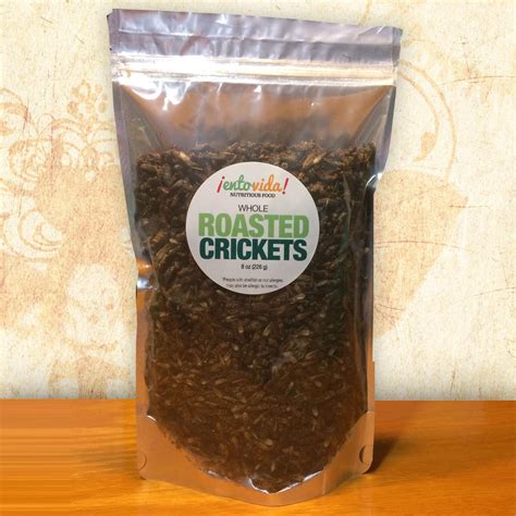 Whole Roasted Crickets Entomarket Edible Insects