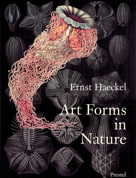 Olaf Breidbach Art Forms In Nature Prestel Publishing