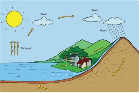 Proses Terjadinya Hujan Dan Jenisnya Haloedukasi Com