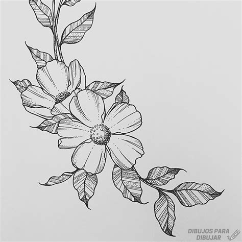 Dibujo De Flores Para Imprimir Dibujos De Flores Hermosas Para Images