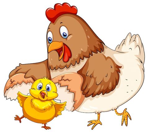 Курица и цыплята векторные изображения и иллюстрации которые можно