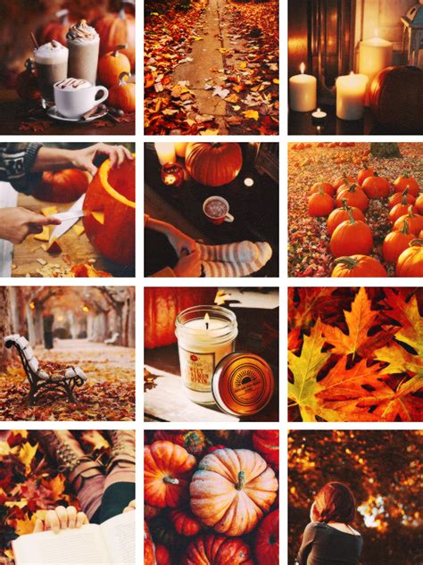 autumn colours | Hello autumn, Fall pictures, Autumn scenery